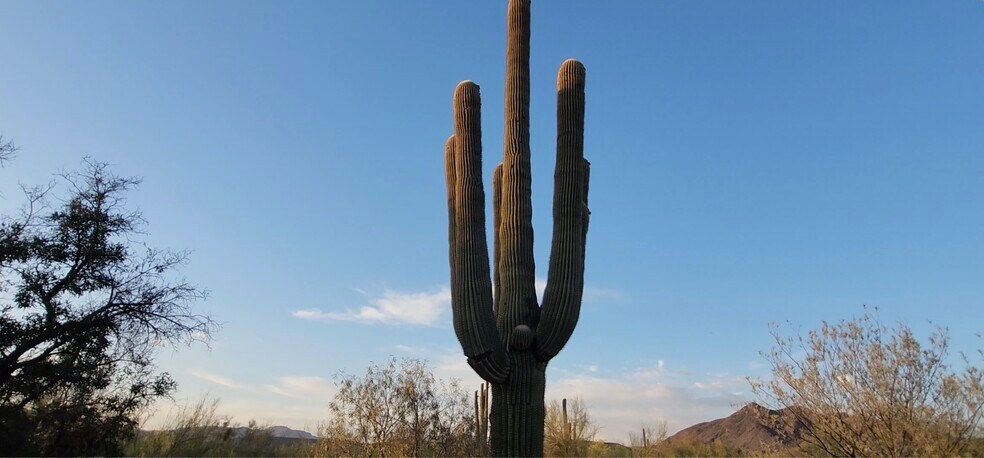 More Photos Of 5418 E Yolantha St, Cave Creek Apartments For Sale