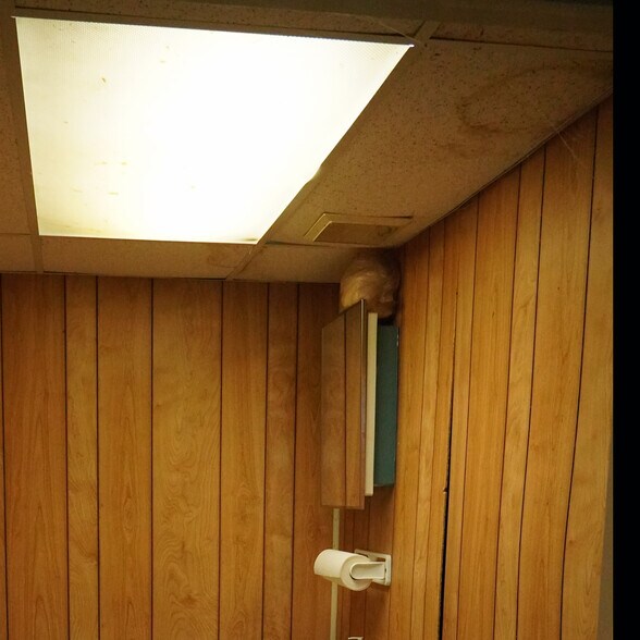 More Photos Of 1900 8th Ave, Parkersburg Garden Center For Sale