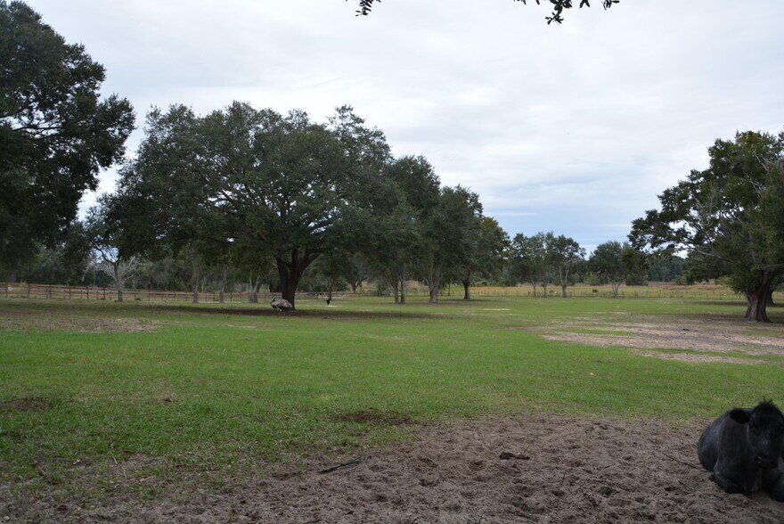 More Photos Of 3816 Lake Brite St, Groveland Land For Sale