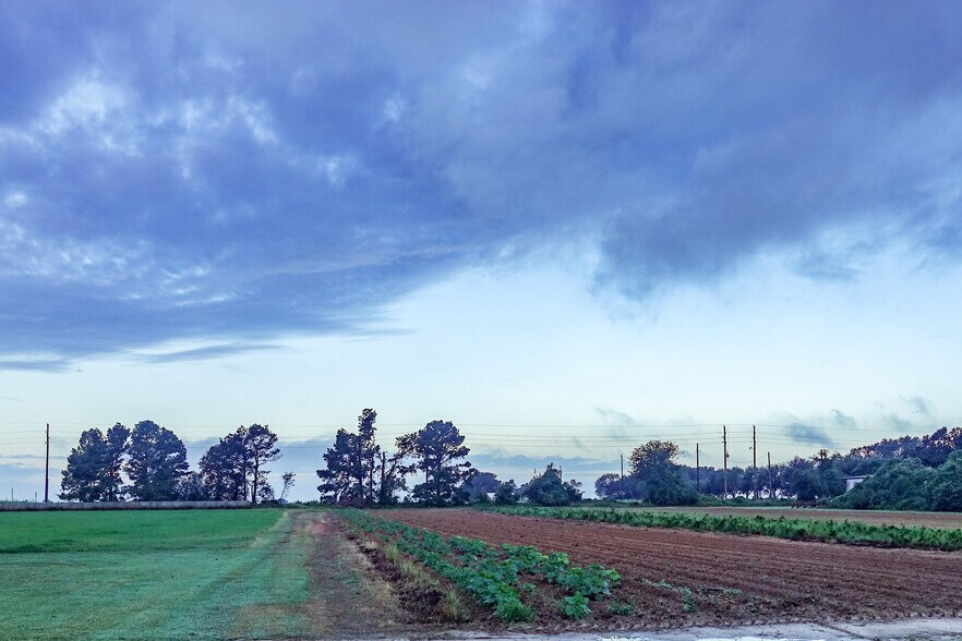 More Photos Of 14134 Penick Rd, Waller Land For Sale