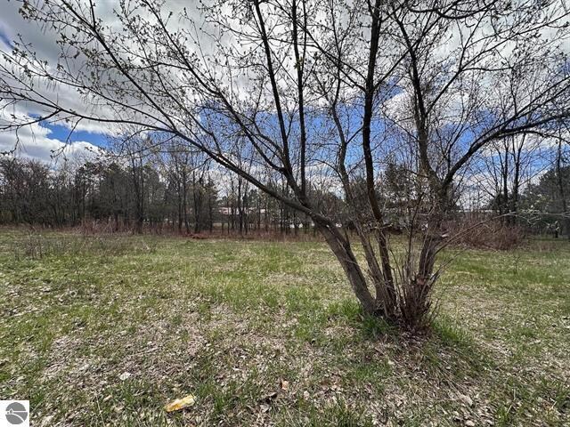 Primary Photo Of 00 Thayer Ln, Bellaire Land For Sale