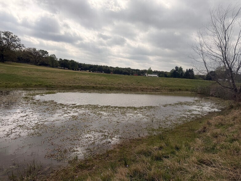 More Photos Of 2548 County Road 2690, Alvord Land For Sale