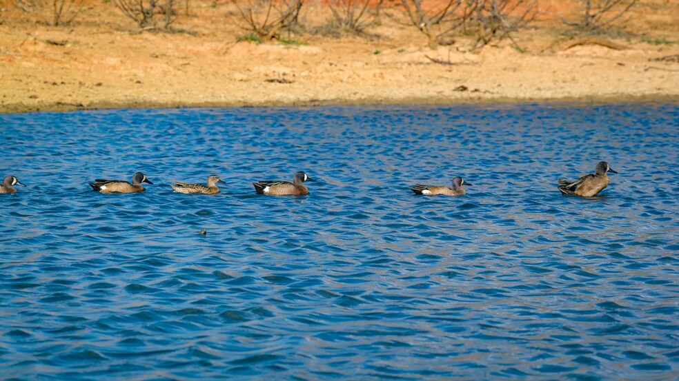 More Photos Of Texas 97, Cost Land For Sale