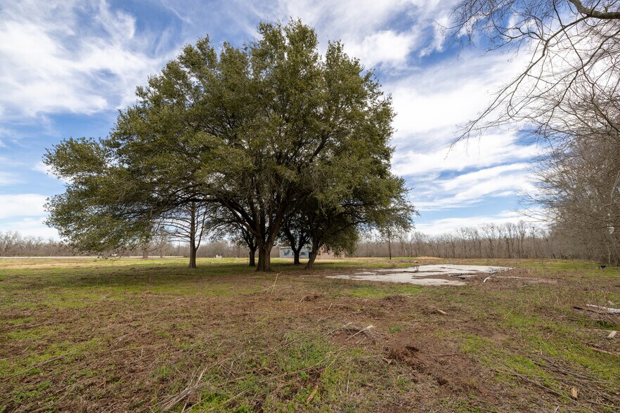 More Photos Of 33715 Farm to Market Road 1093, Fulshear Land For Sale