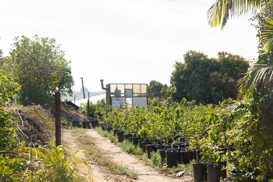 More Photos Of 3129 Reche Rd, Fallbrook Land For Sale