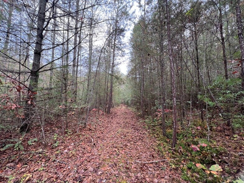More Photos Of Whitecliff Drive, Ellijay Land For Sale