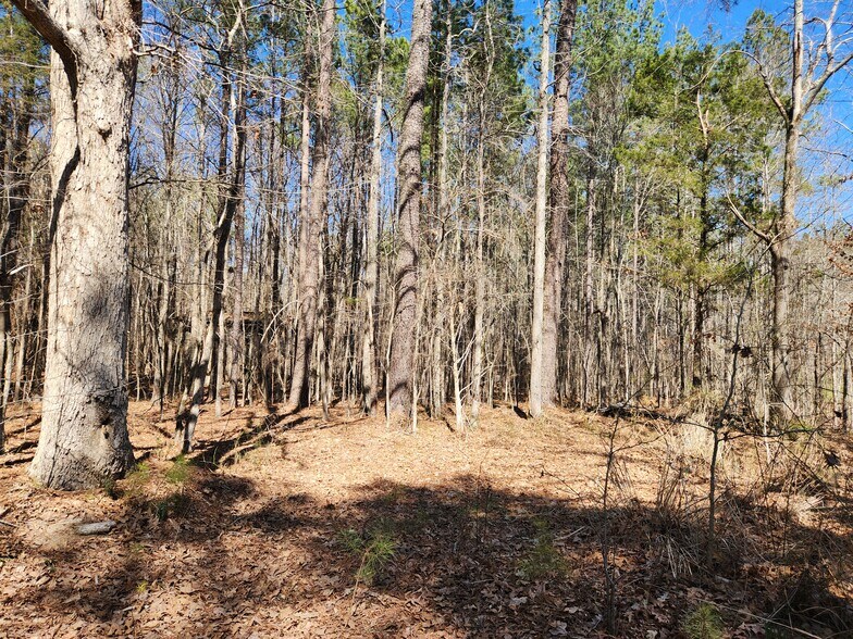 More Photos Of 3004 U.S. 401 Hwy, Louisburg Land For Sale