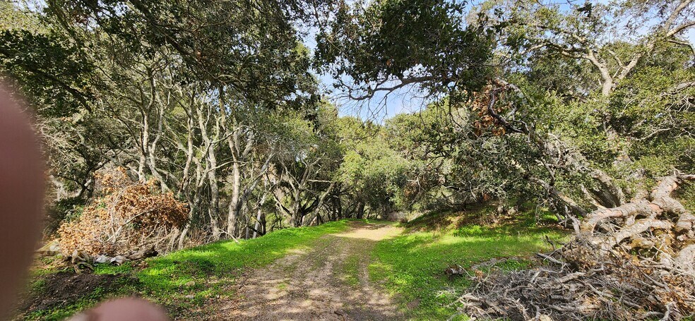More Photos Of Salinas Road Hwy, San Juan Bautista Land For Sale