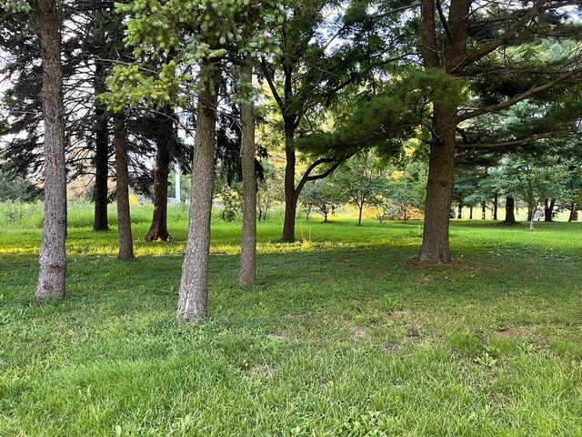 More Photos Of 16217 S Gougar Rd, Lockport Land For Sale