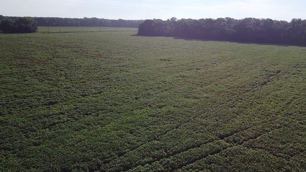 More Photos Of Hwy 9 @ Beauty Spot Rd, Bennettsville Land For Sale