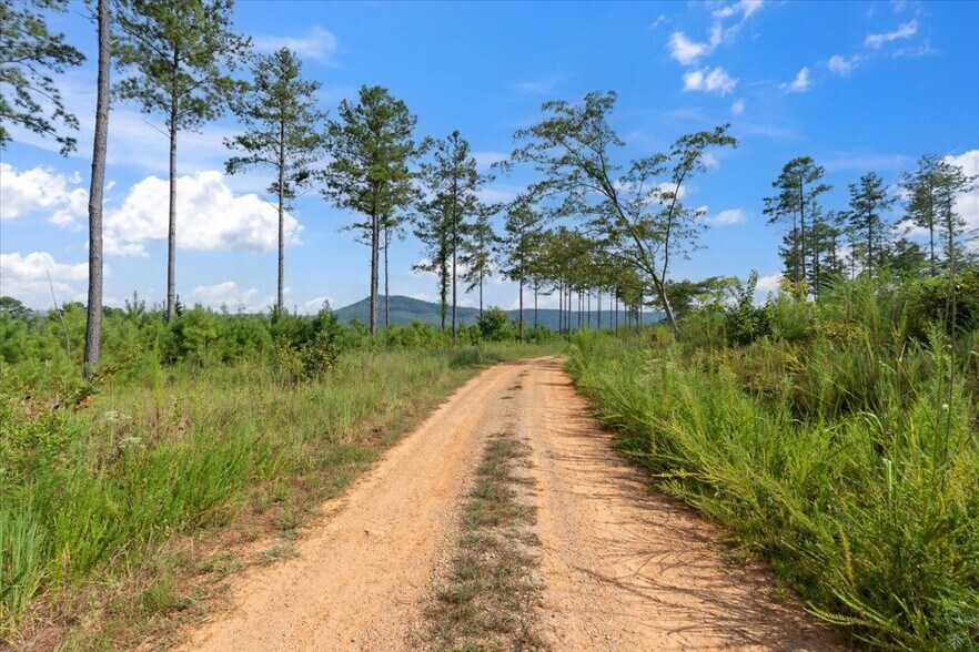 More Photos Of 664 Wiggins Rd, Lyerly Land For Sale