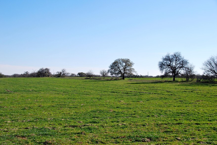 More Photos Of 181 Pine Meadow Rd, Seguin Land For Sale