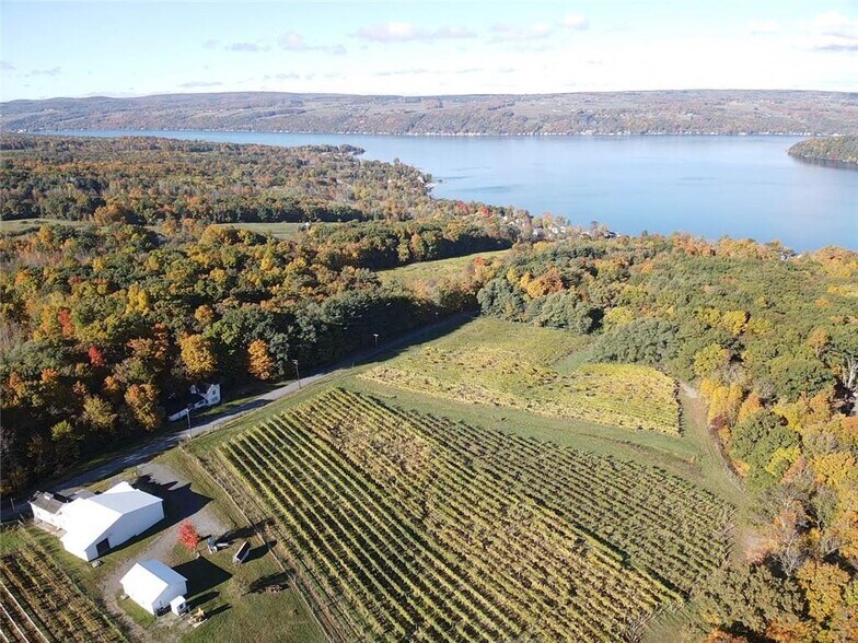 More Photos Of 14630 State Route 54, Hammondsport Winery Vineyard For Sale