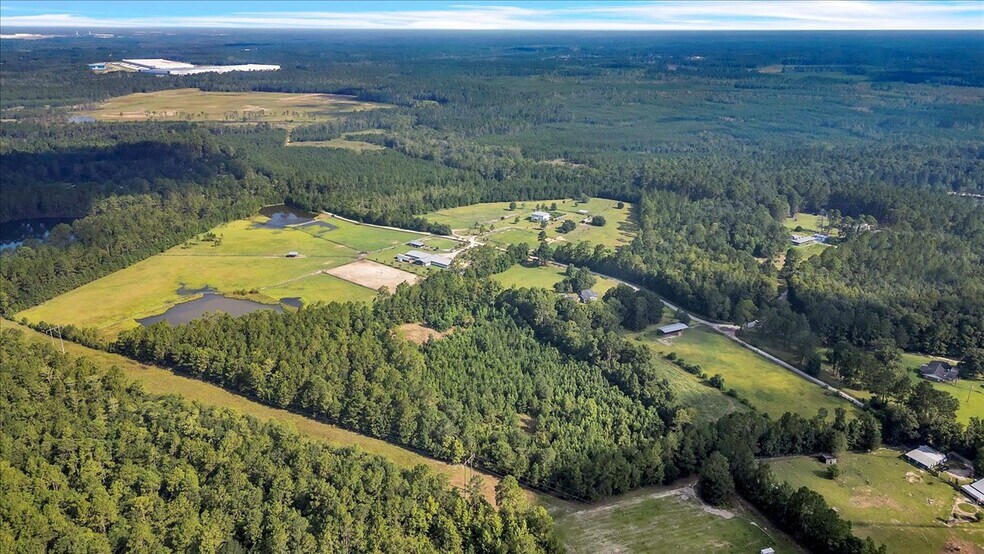 More Photos Of 1075 Osteen Rd, Bloomingdale Land For Sale