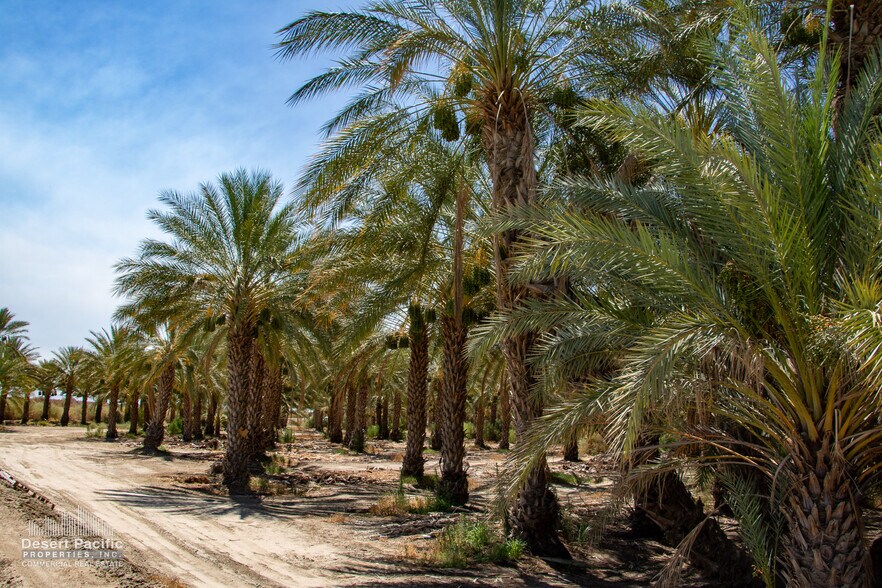 More Photos Of Ave 76 & Expwy 86, Thermal Land For Sale