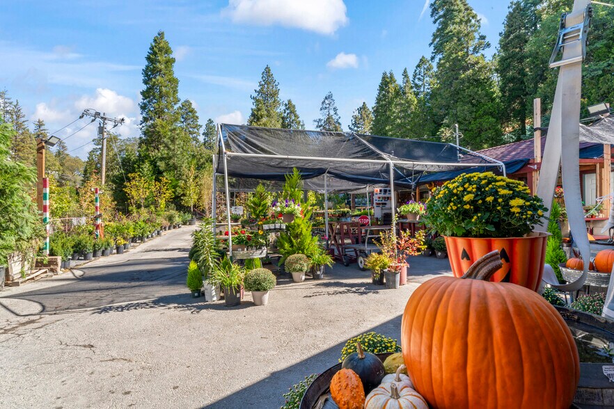 More Photos Of 303 CA-173 Hwy, Lake Arrowhead Garden Center For Sale