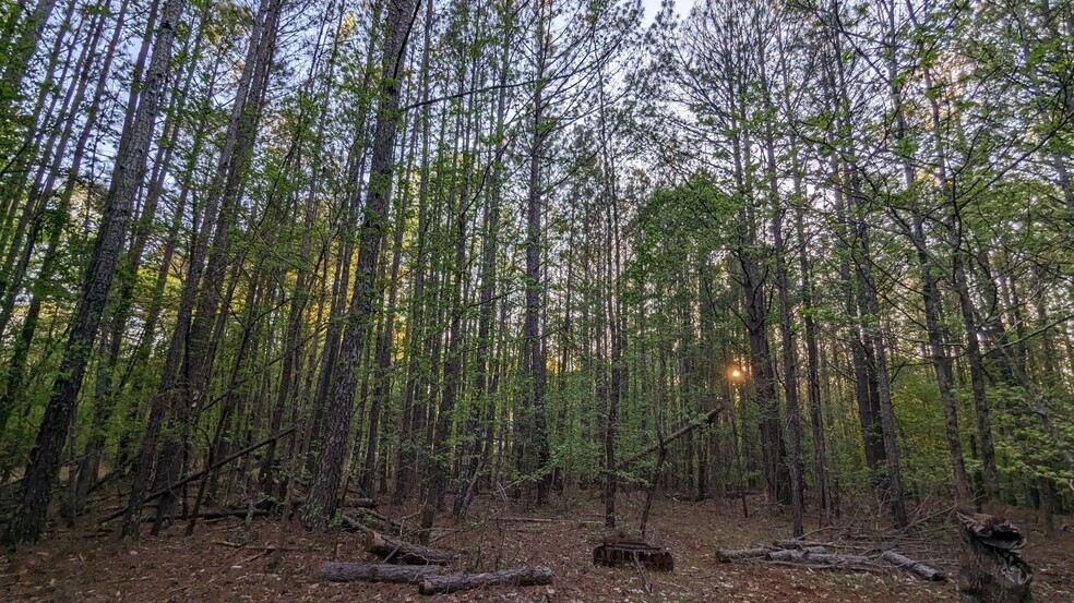 More Photos Of 0 Hathcock Road, College Park Land For Sale