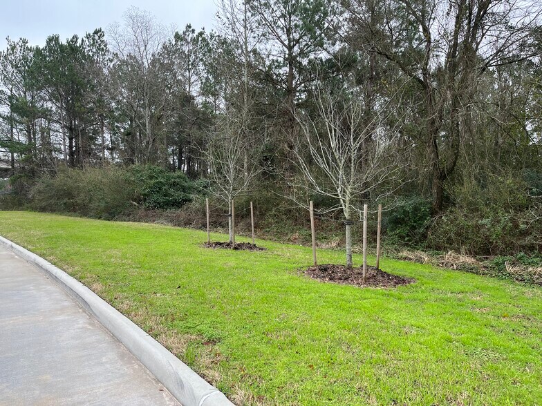 More Photos Of 29915 State Highway 249, Tomball Land For Sale