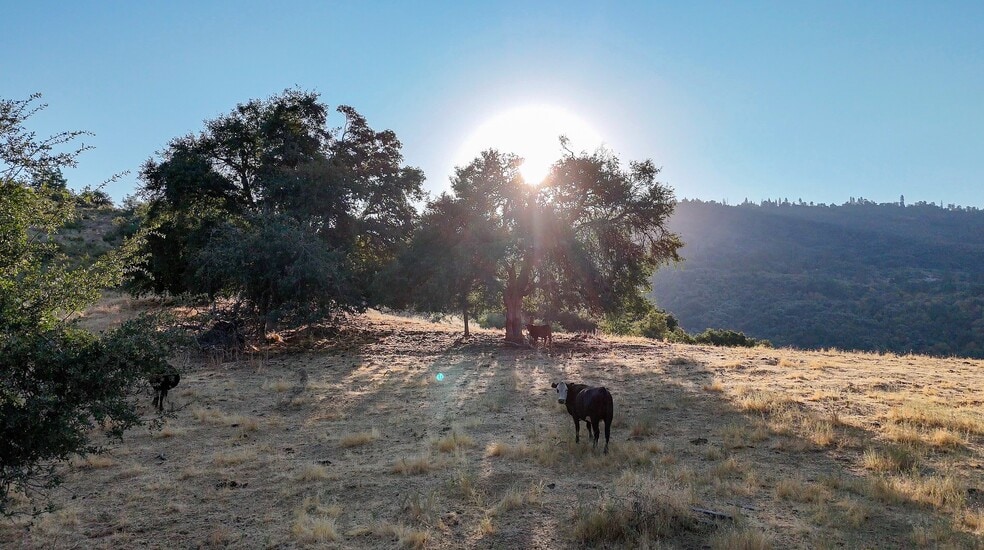 More Photos Of Whitaker Forest Road, Miramonte Land For Sale