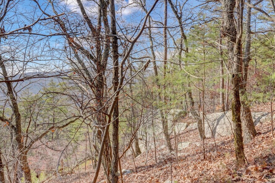 More Photos Of 1915 Tower Trl, Waleska Land For Sale