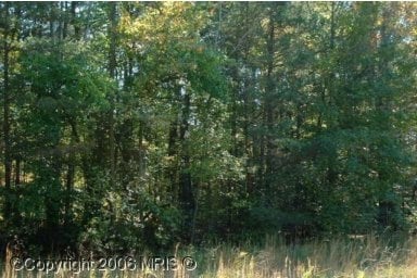 More Photos Of 7910 Colonial Ln, Clinton Land For Sale
