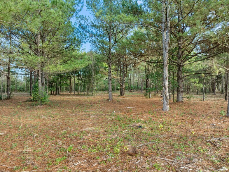 More Photos Of 1115 Evelyn Gandy Pky, Petal Land For Sale