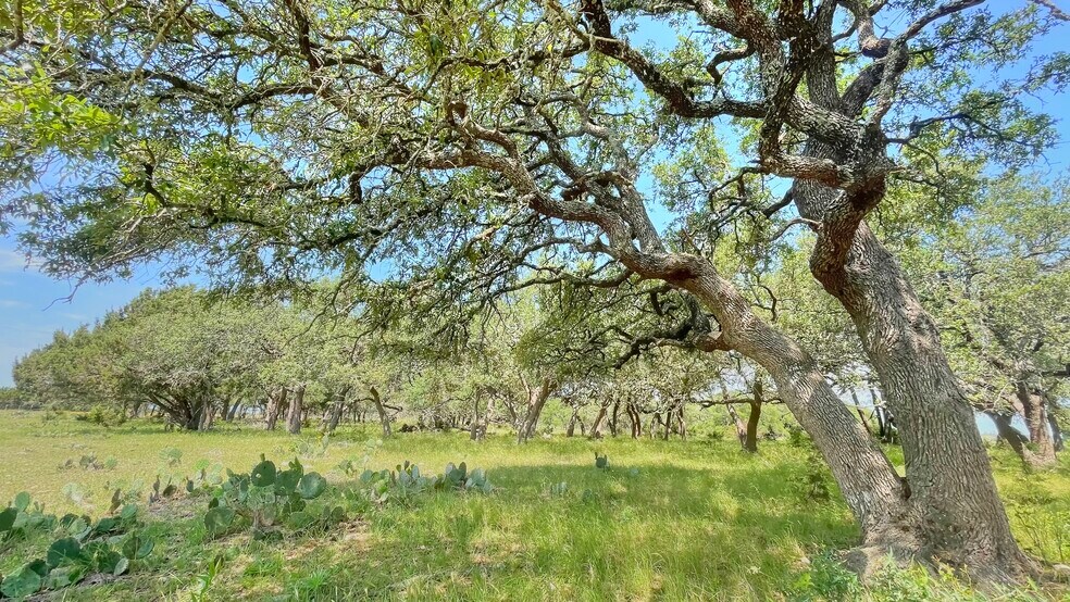 More Photos Of County Road 253, Bertram Land For Sale