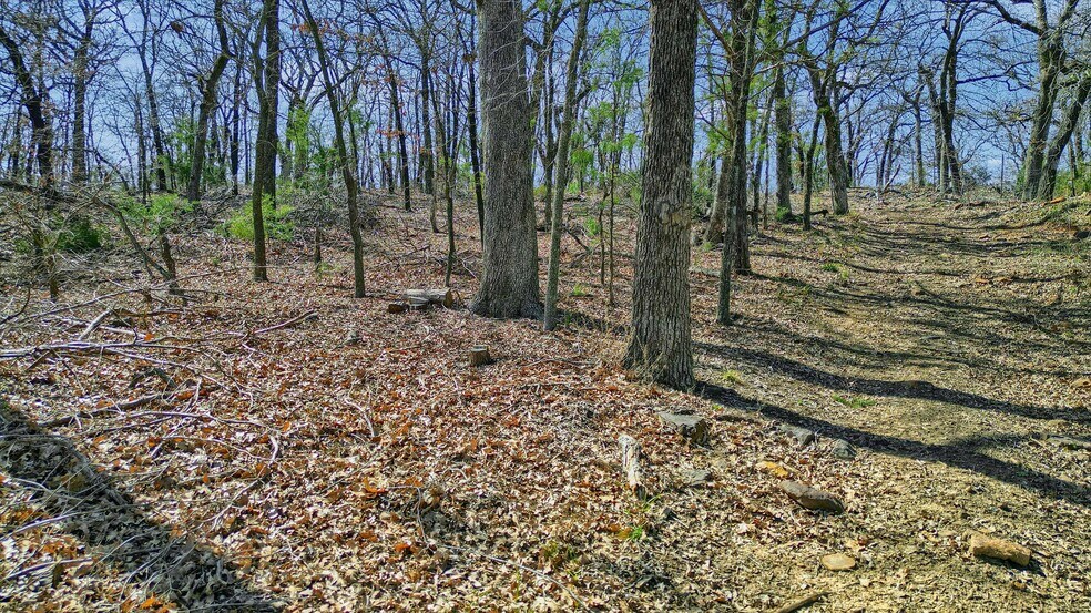 More Photos Of 278 Neely Trl, Gainesville Land For Sale