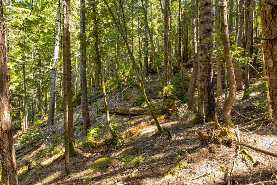 More Photos Of 33170 Frog Pond rd, Little River Land For Sale