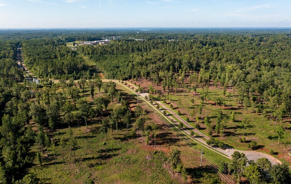 More Photos Of 301 Brighton Blvd, Chapin Land For Sale