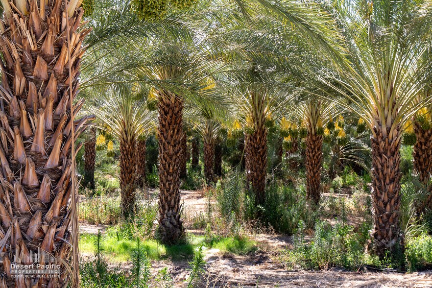 More Photos Of 75317 Polk St st, Thermal Land For Sale