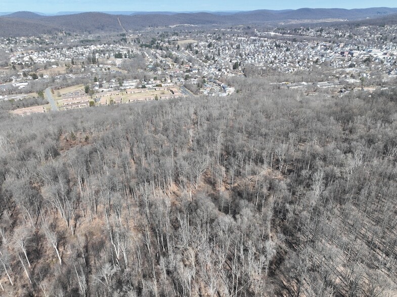 More Photos Of Nunn Avenue, Washington Land For Sale