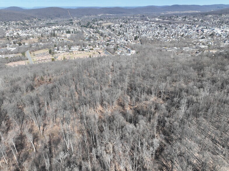 More Photos Of Nunn Avenue, Washington Land For Sale