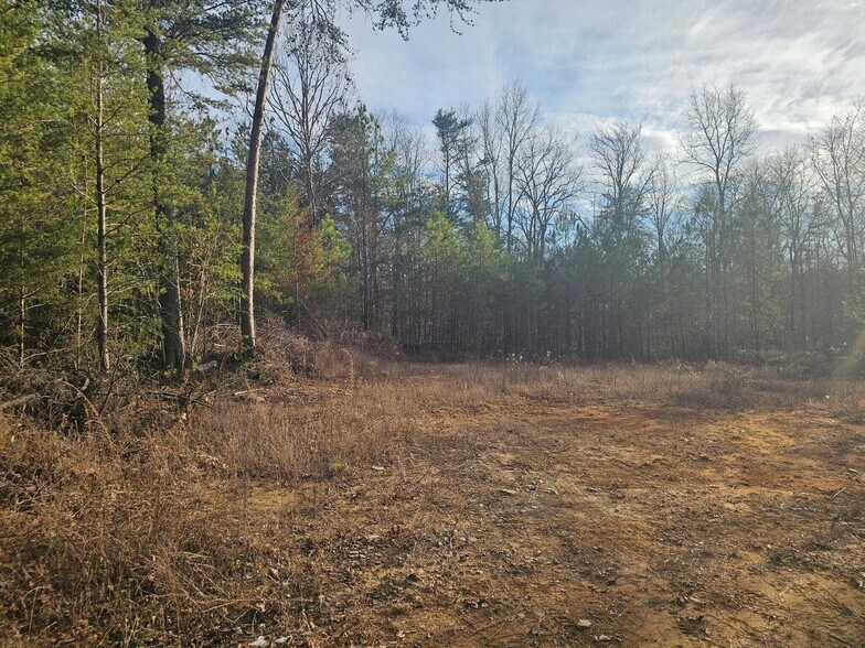 More Photos Of 762 Smith Mountain Rd, Dunlap Land For Sale