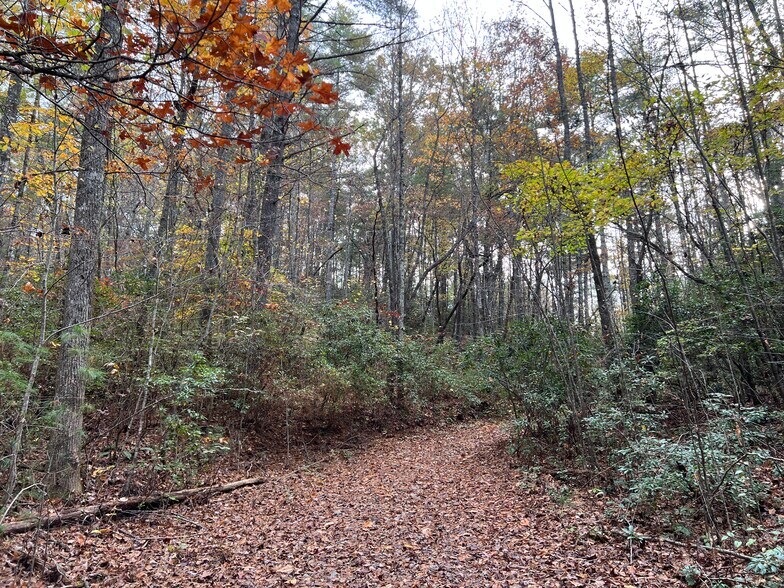 More Photos Of Whitecliff Drive, Ellijay Land For Sale