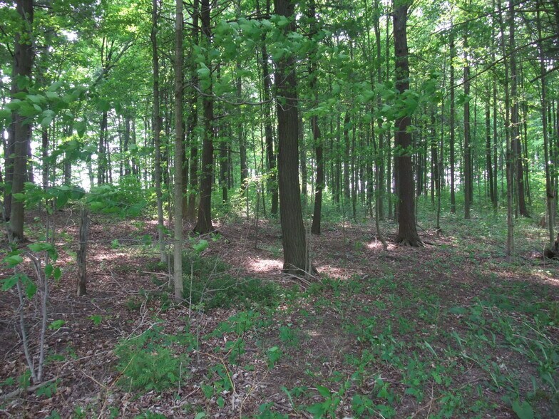 More Photos Of 8949 Wellington 22, Erin Land For Sale
