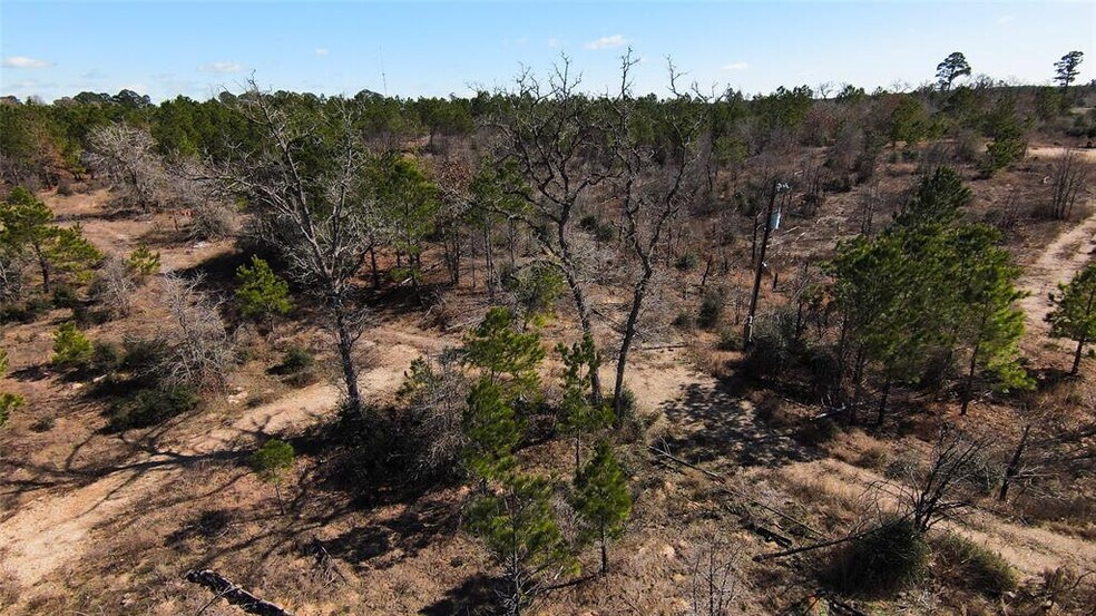 More Photos Of 488 Kelley Rd, Bastrop Land For Sale