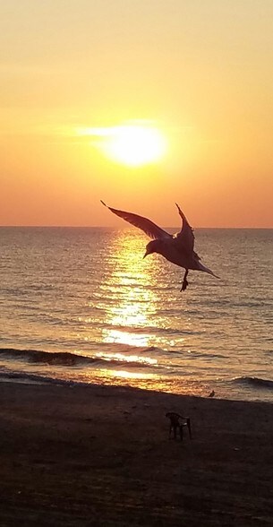 More Photos Of 4497 S US Highway 23, Greenbush Hotel For Sale