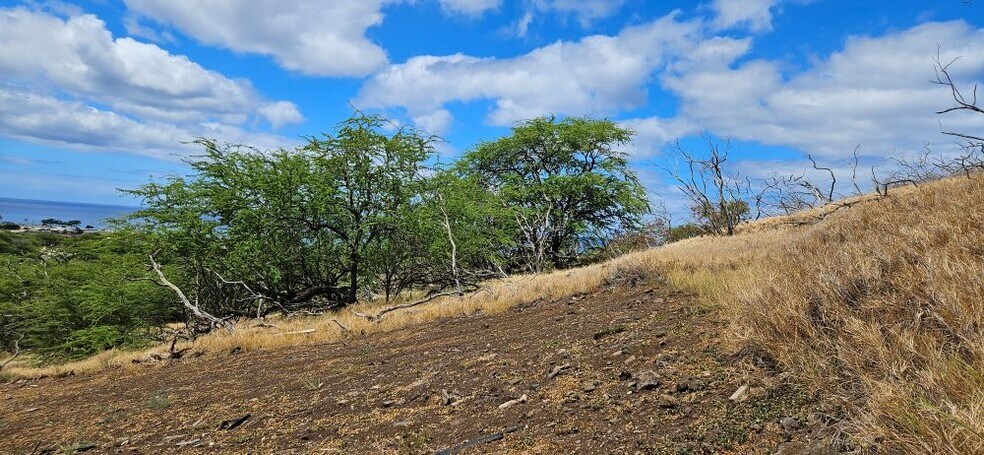 More Photos Of 87-472 Hakimo Rd, Waianae Land For Sale