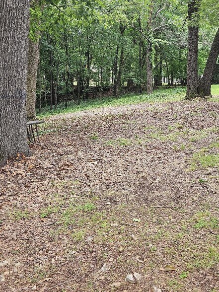 More Photos Of Unassigned Blue Bonnet Avenue, Disney Land For Sale