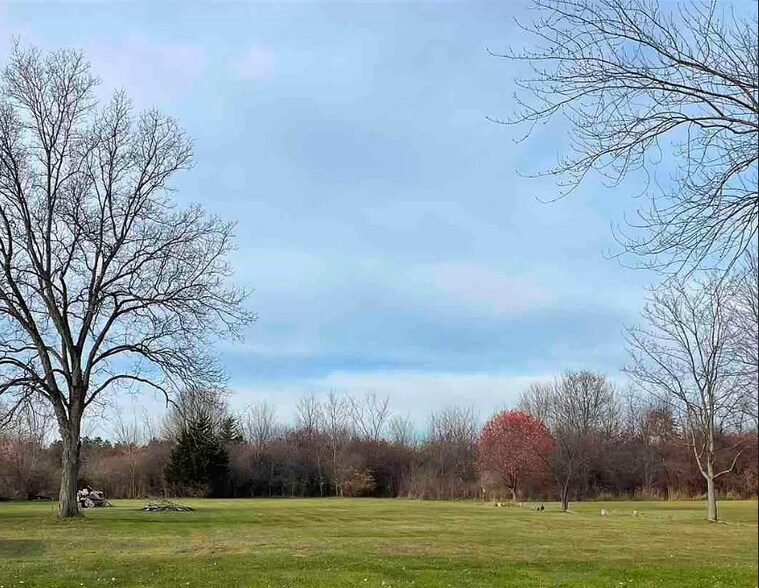 Primary Photo Of 1217 E Frances, Mount Morris Land For Sale