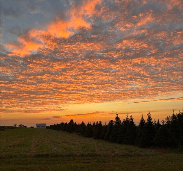 More Photos Of 213 Grandview Rd, Skillman Land For Sale