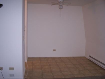 More Photos Of 37 Nippersink Blvd, Fox Lake Apartments For Sale