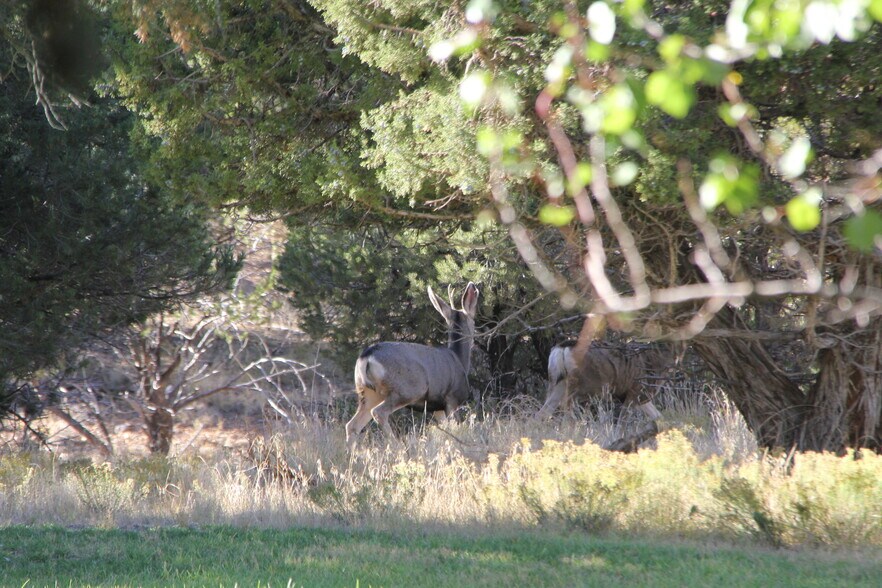 More Photos Of 1627 950 South, Parowan Land For Sale