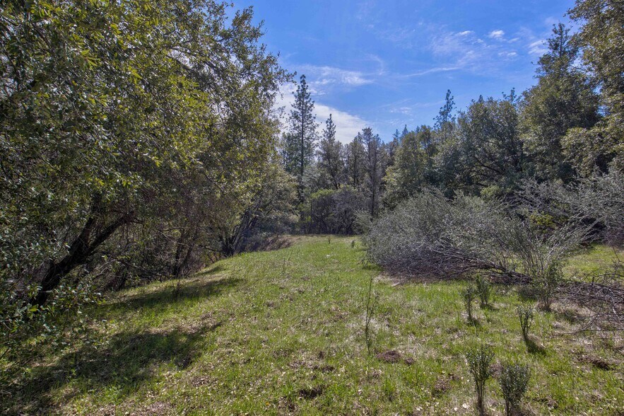 More Photos Of 18800 Charleston Rd, Volcano Land For Sale