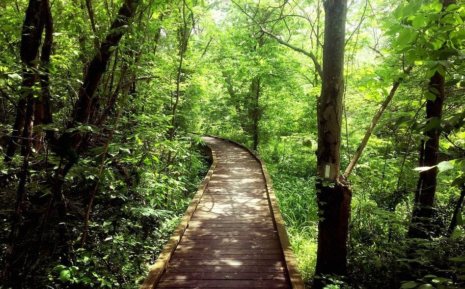 More Photos Of 290 N Main St, Robbinsville Hotel For Sale