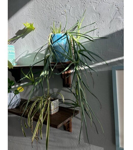 More Photos Of 4138-4144 Macarthur Blvd, Oakland Storefront For Lease