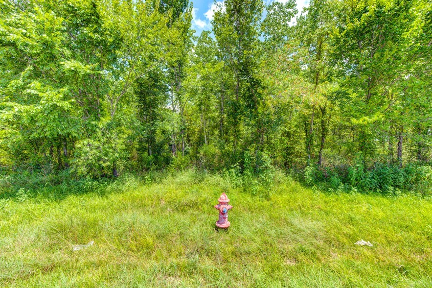 More Photos Of 0 Hwy 35 - CR 133 - 19.07ac, Alvin Land For Sale