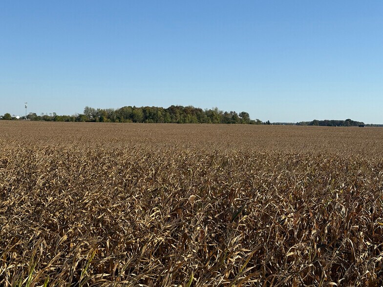 More Photos Of 4305 PLEASANT CENTER Rd, Yoder Land For Sale