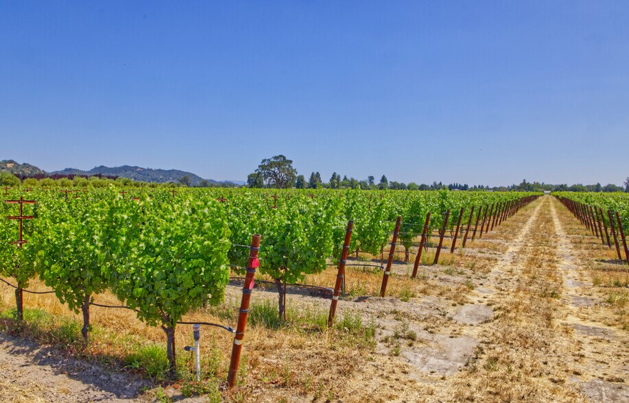 More Photos Of 179 Pleasant Ave, Santa Rosa Land For Sale